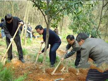 \"清明节千万别做这些事