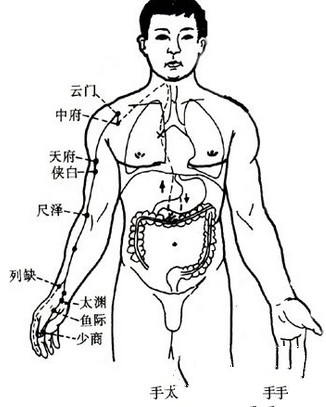 \"经络拍打养生九方法