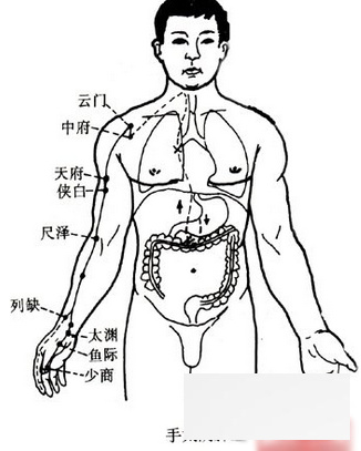 \"经络养生方法