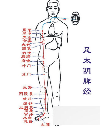 \"如何调养女人气血