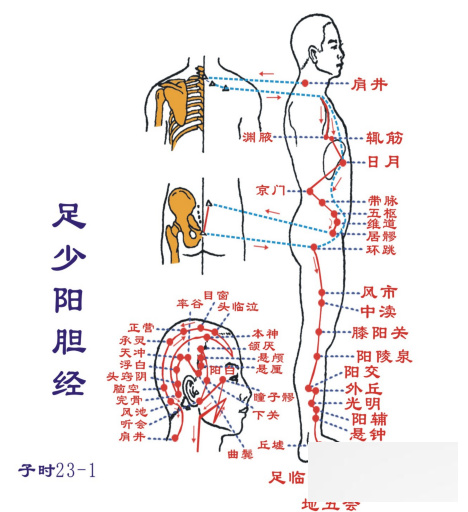 \"如何调养女人气血