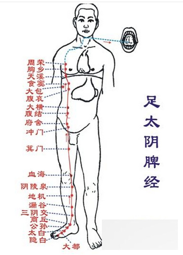 \"中医养生常识